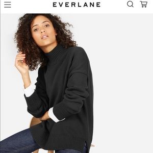 Everlane Cotton Turtleneck